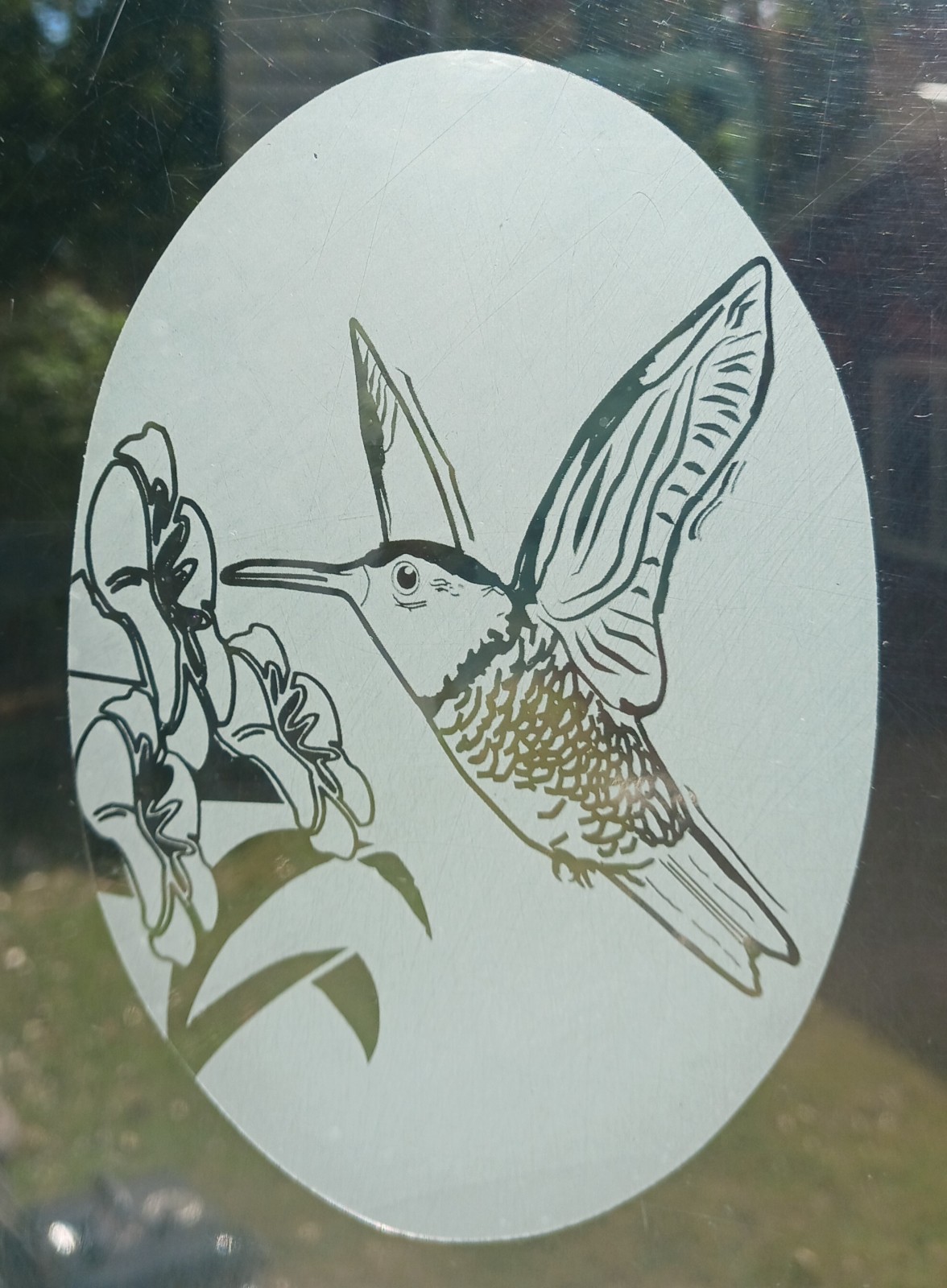 Hummingbird Window Decal 4"x6" OVAL Etched Glass Look Cling Removable 13