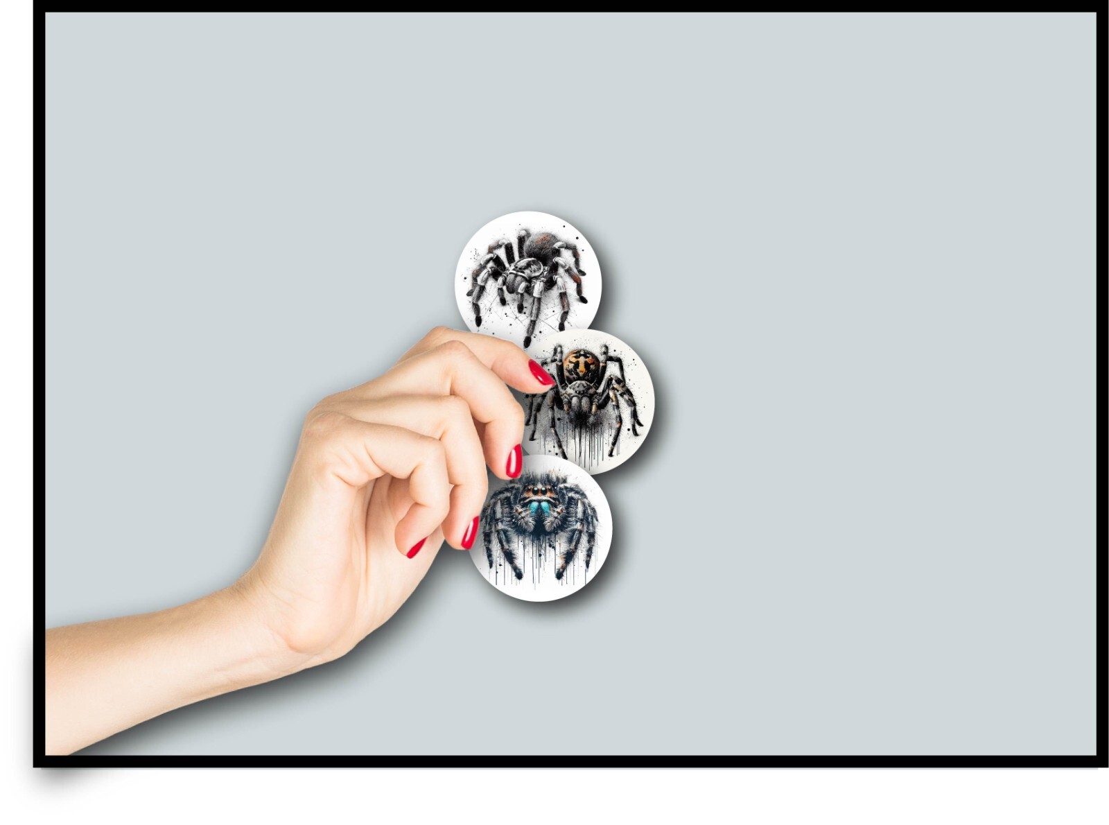 Jumping Spider Stickers Decals Set of 3 Pet Arachnid Bug Love Life Legs Web Wild