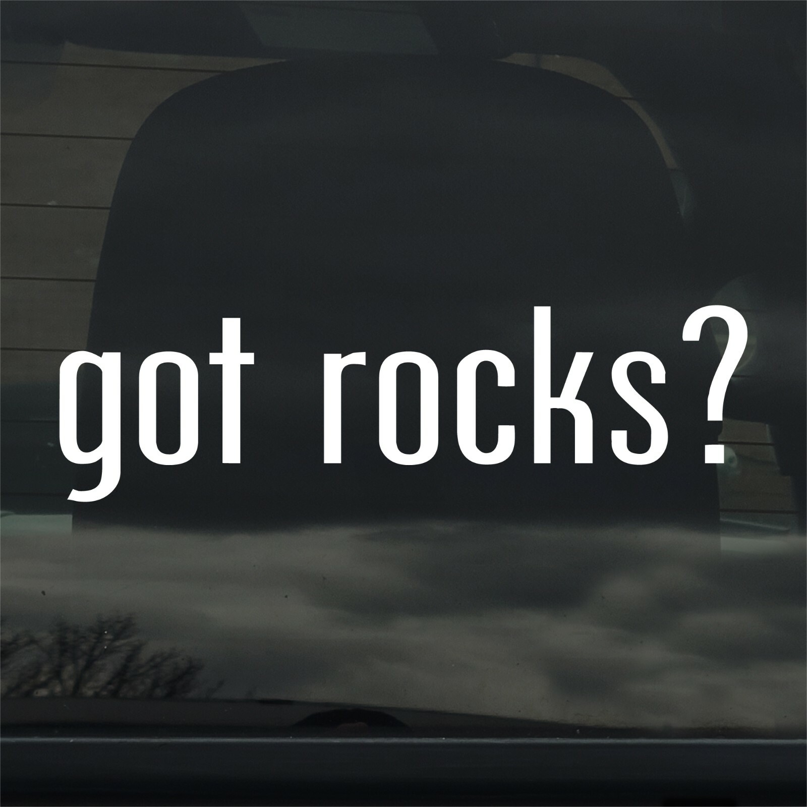 Got Rocks? Custom Vinyl Sticker Decal Crystal Lapidary Fossil Stone Pretty