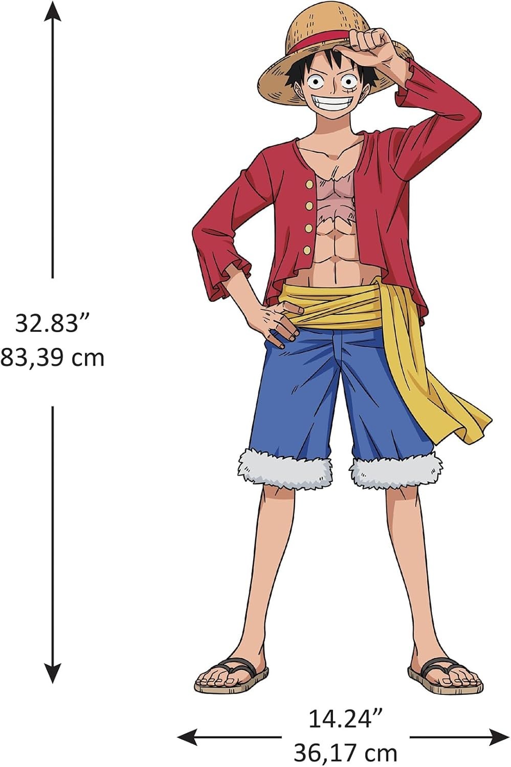 Official One Piece Luffy Wall Art