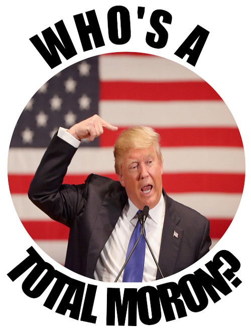 9pc Assorted Anti Trump Vinyl Stickers, Die Cut, Durable, 1.75"W x 1.75"H