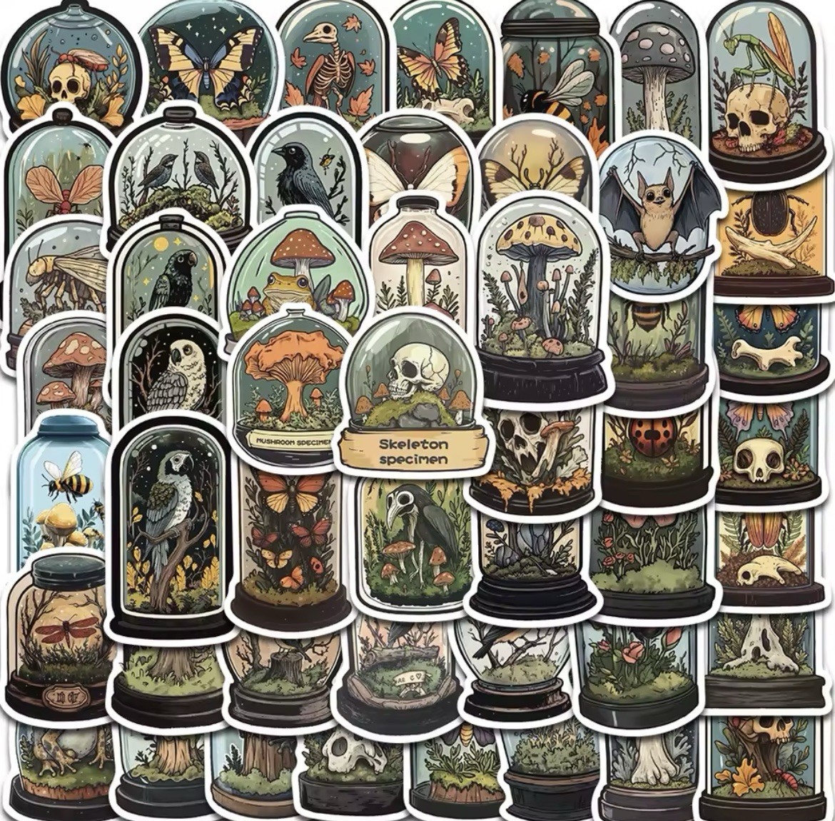 Gothic Specimen Jar Style Stickers 50pc Gothic Aesthetic Stickers FREE SHIPPING