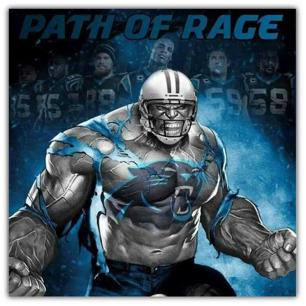 Carolina Panthers Football Logo NFL Sport Car Bumper Sticker Decal "SIZES"