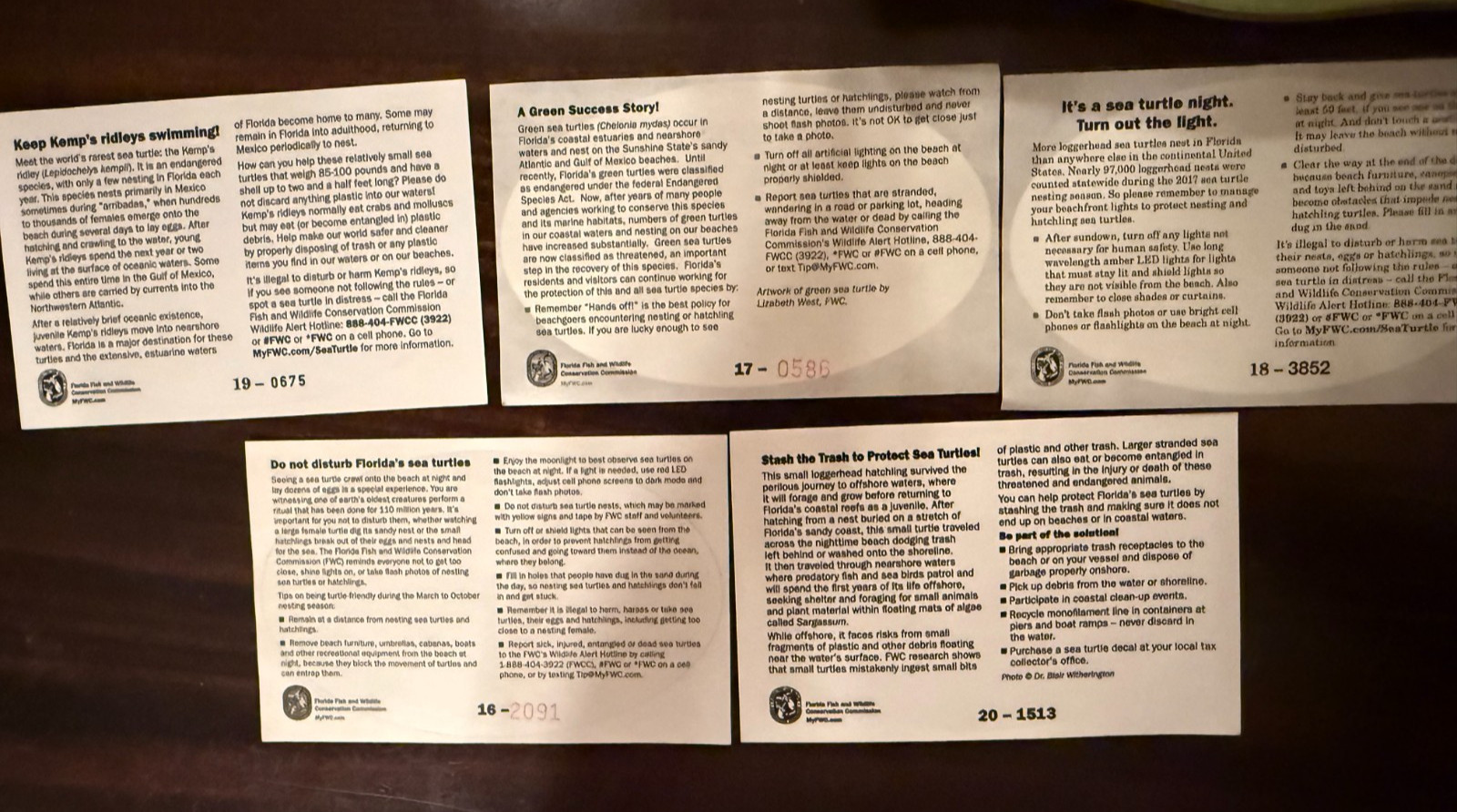 5 Turtle 5 Manatee~10 Decals Florida Fish & Wildlife Conservation Commission