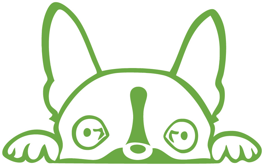 Boston Terrier Peeking Die Cut Vinyl No Background Multiple Color Decal Made USA