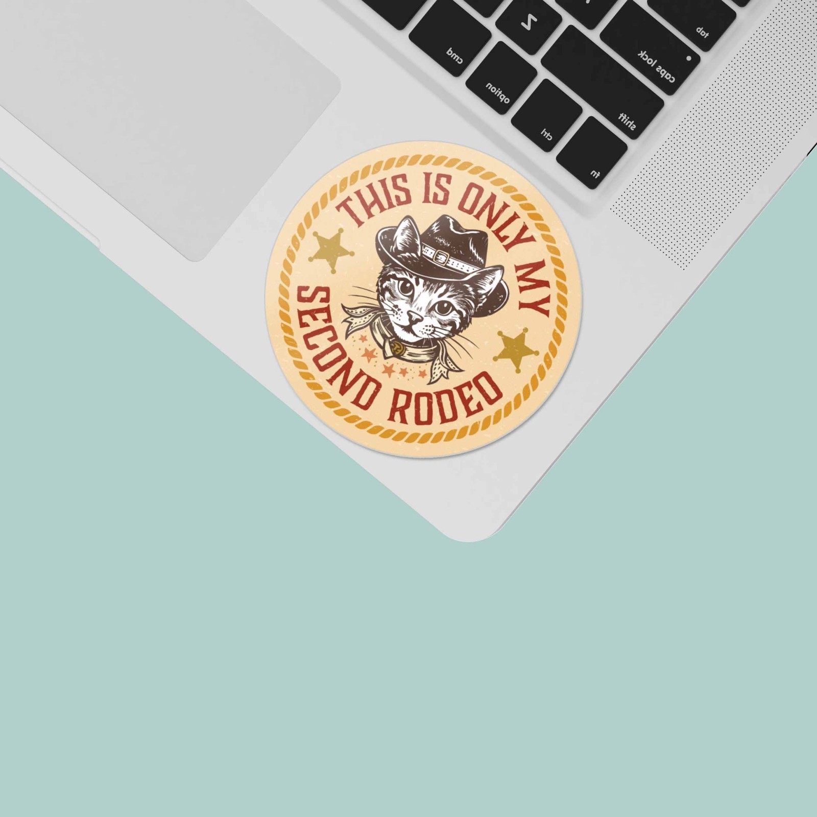 This is Only My Second Rodeo Sticker – Funny Cat Decal for Laptop & Water Bottle