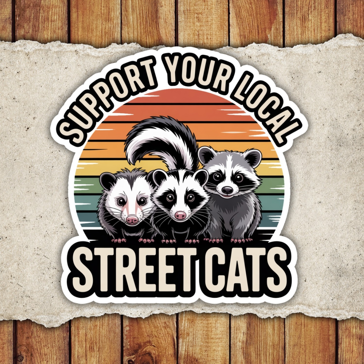 4pcs Street Cats Stickers – Funny Raccoon Opossum Decals for Laptop, Car