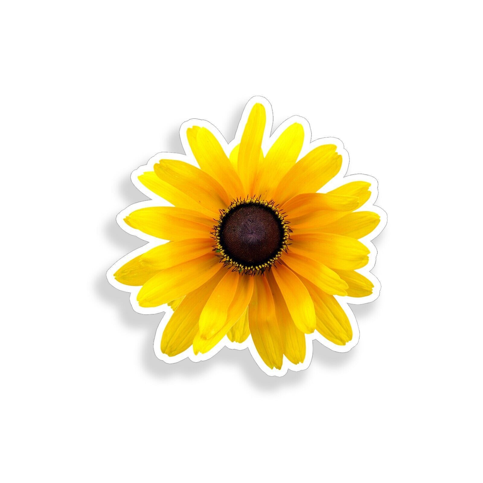 Black Eyed Susan Garden Flower Sticker Decal