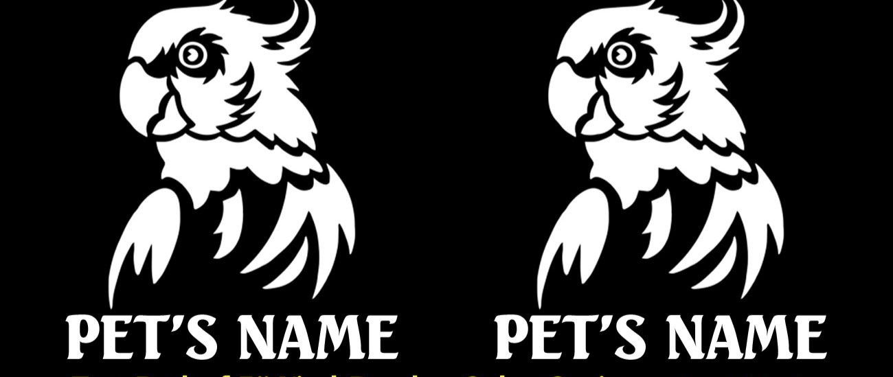 Parrot Bird with Custom Name 2 Pack of 5" Vinyl Decals Window Tumbler Laptop