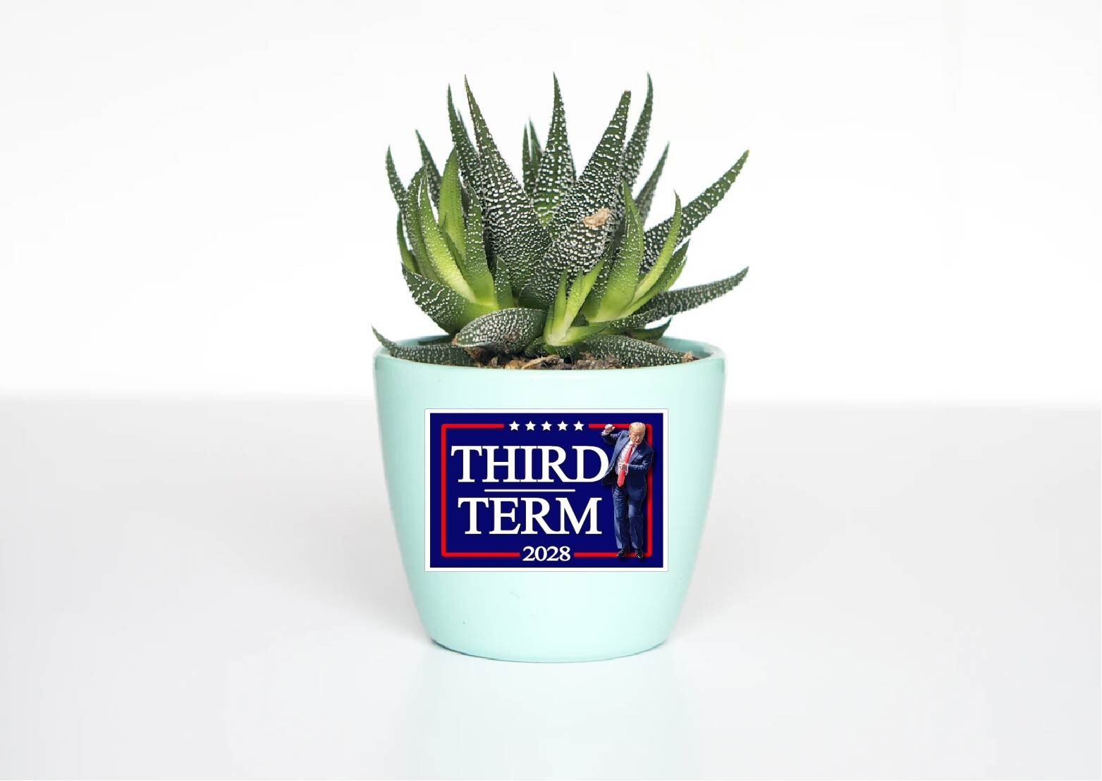 Third Term Trump 2028 Decal Sticker Political MAGA Dance Vance USA America Great