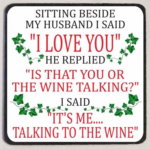 Me Talking To The Wine Refrigerator Magnet M154