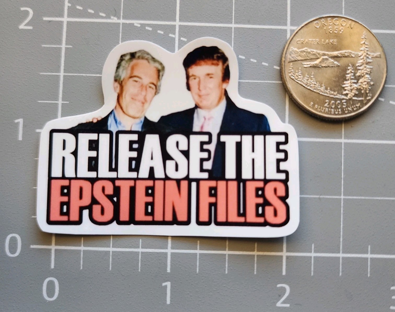Release The Epstein Files ~ 2" Vinyl Sticker ~ Donald Trump & Jeffrey ~