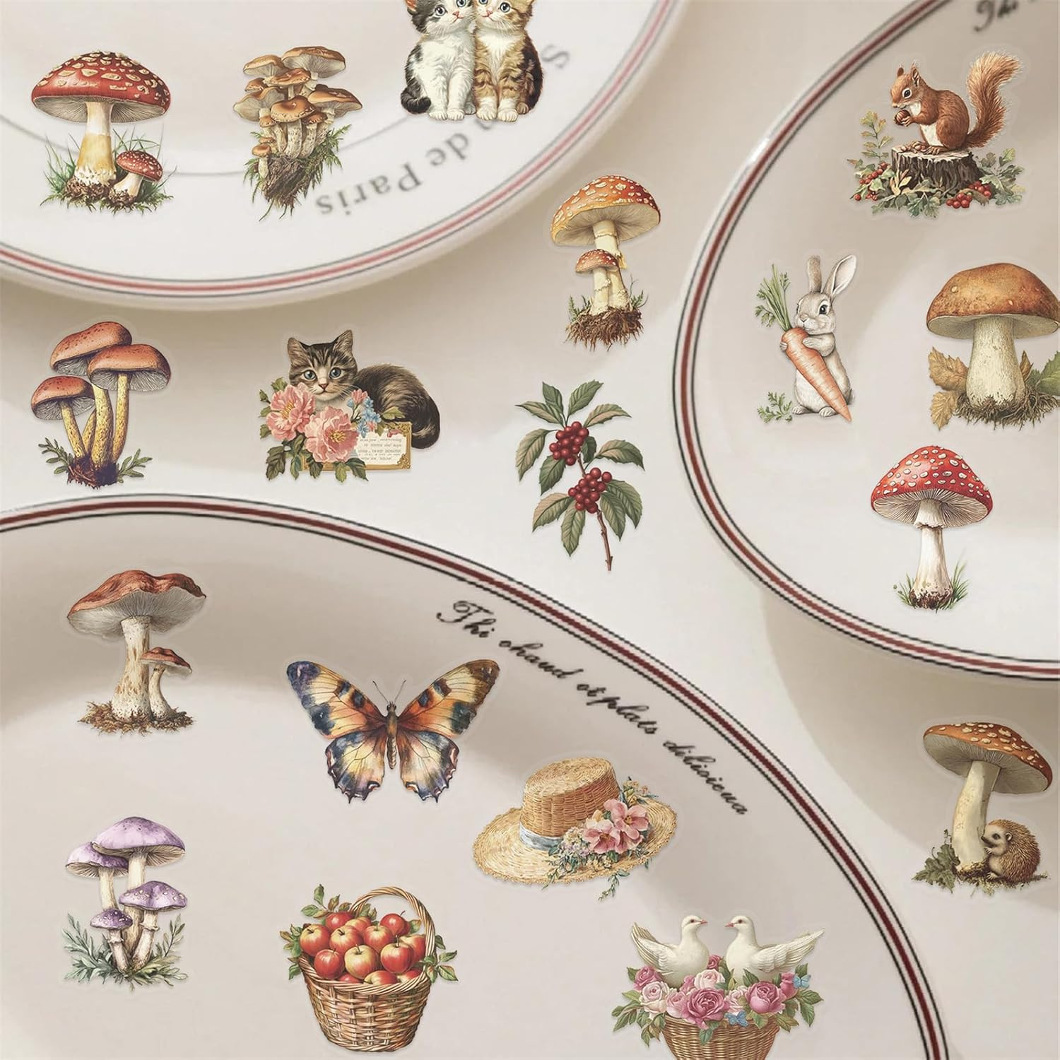 50PCS Vintage Mushroom Stickers PET Transparent Stickers Retro Flora and Fauna D
