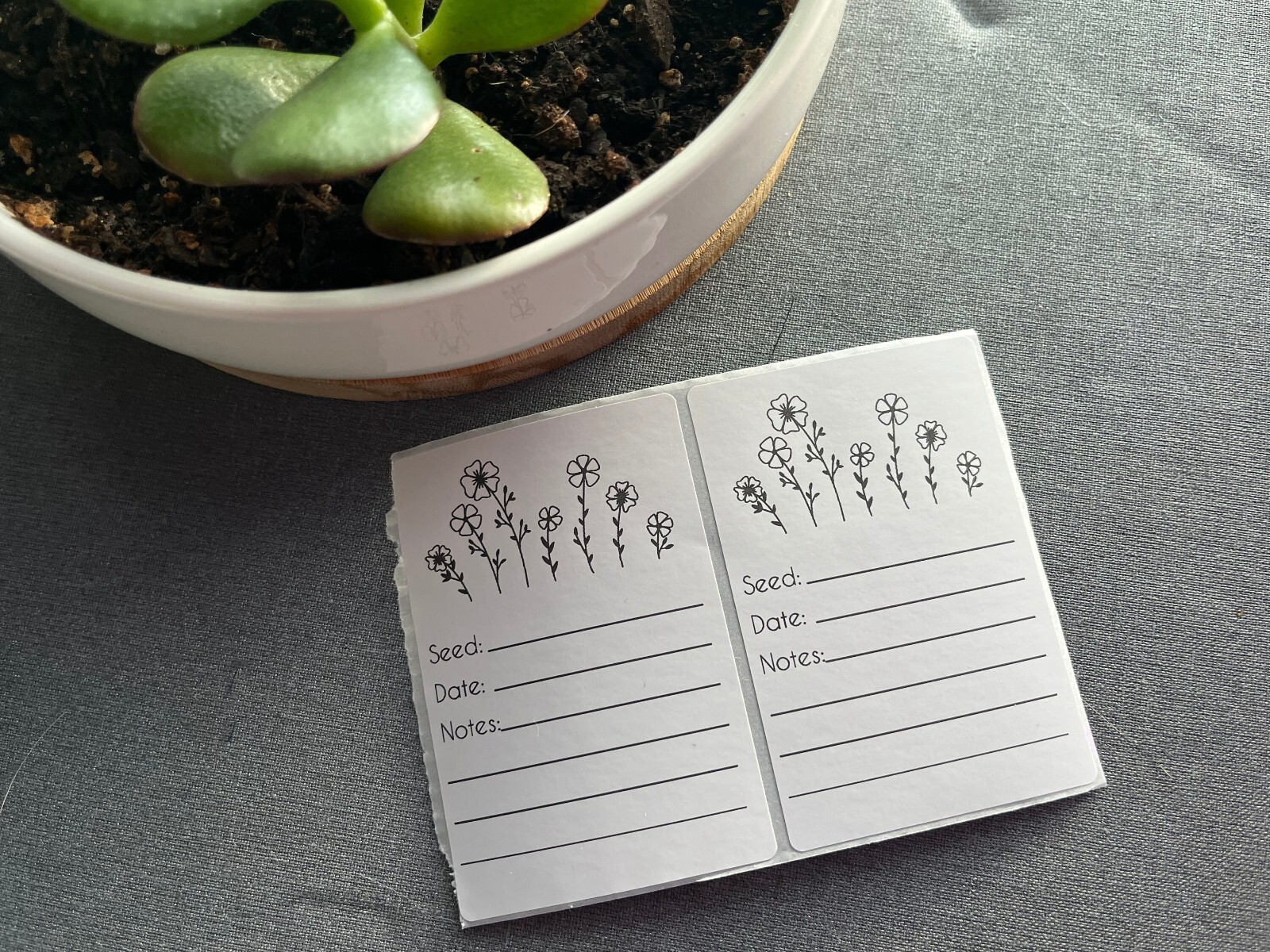 Seed Envelope Labels | Seed Labels | 2 x 3 Label | Set of 8 Labels