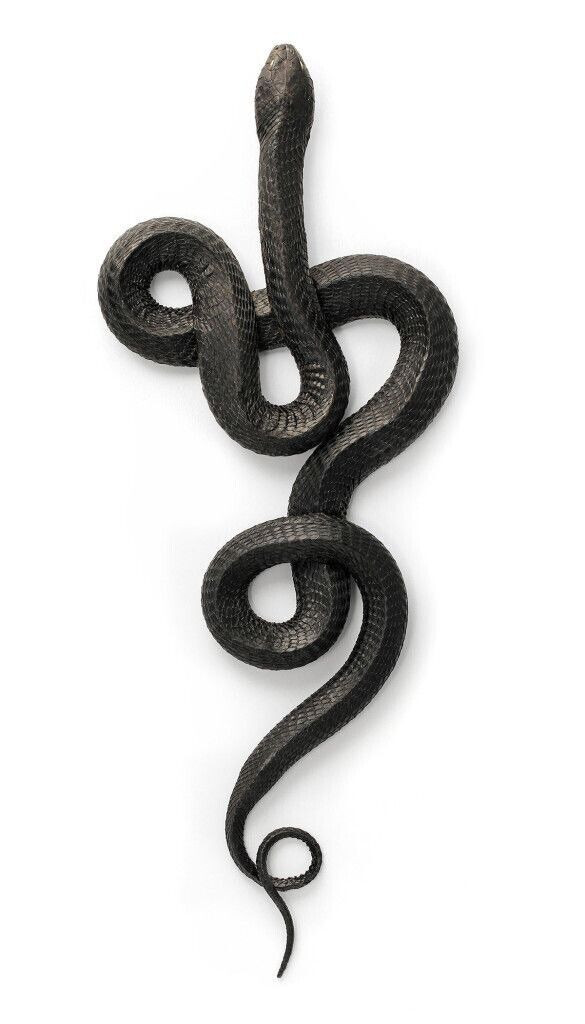 Black Snake Sticker