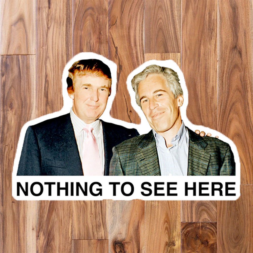 Anti-Trump Sticker Pack Epstein Files BEST FRIENDS, PREDATORS, Nothing to See