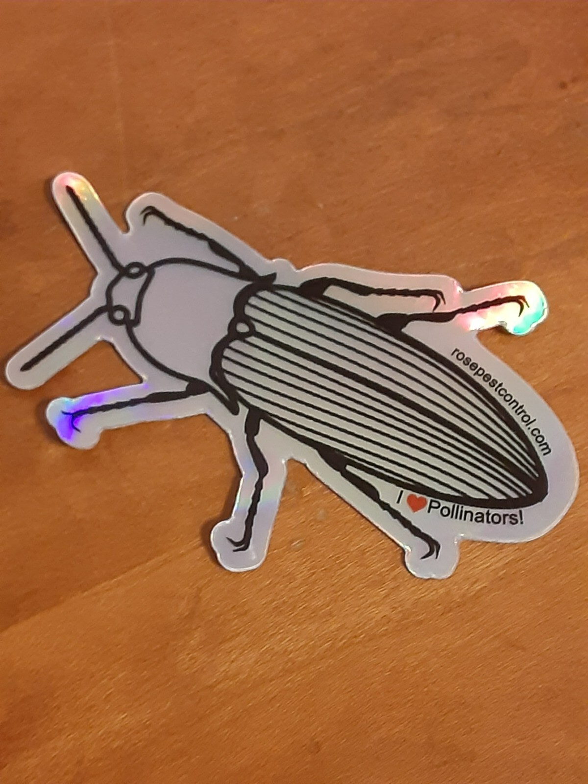 Roach Sticker – Bug – Silver and Shimmery – 3 Inches by 2 Inches – Brand New 