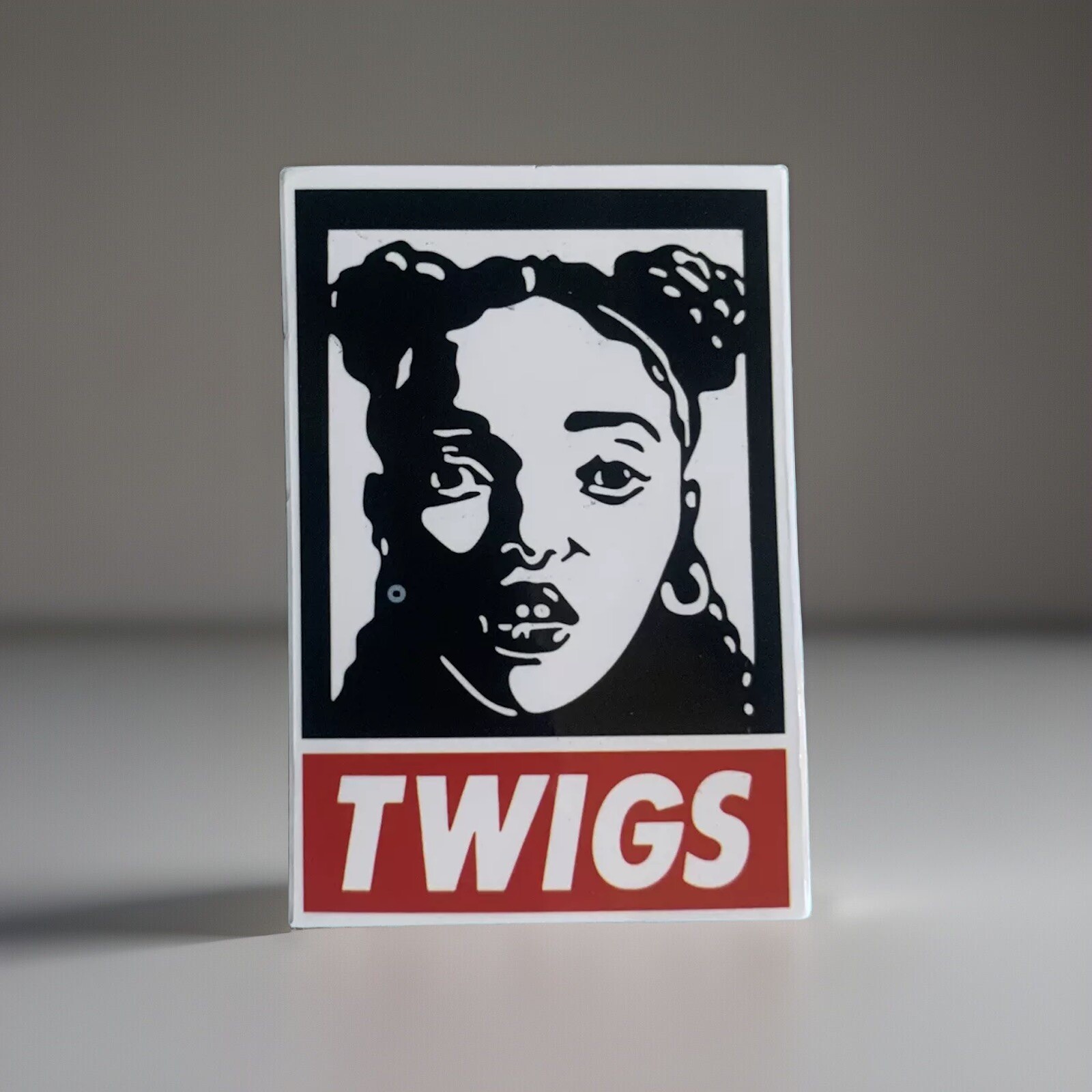 Twigs – Vinyl Sticker 2.5" x 1.75" Pop Rock Band Waterproof Durable Sunproof