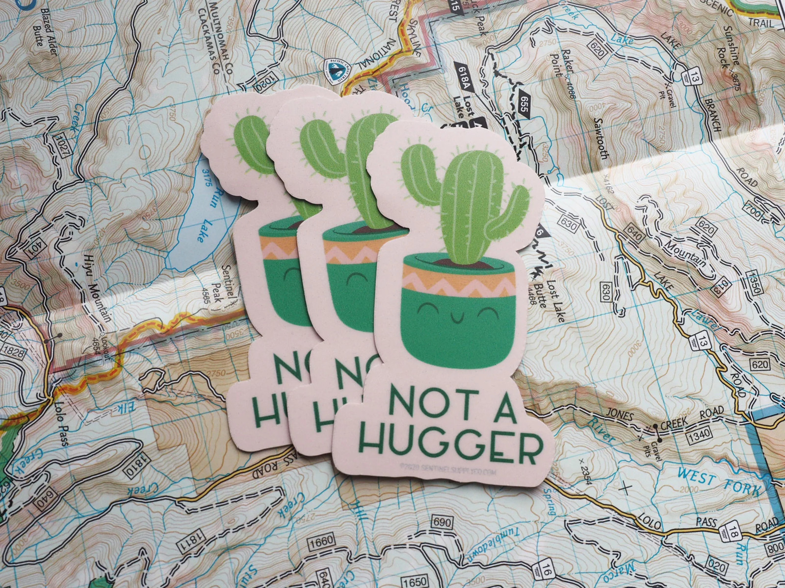 Not a Hugger Cute Cactus Sticker