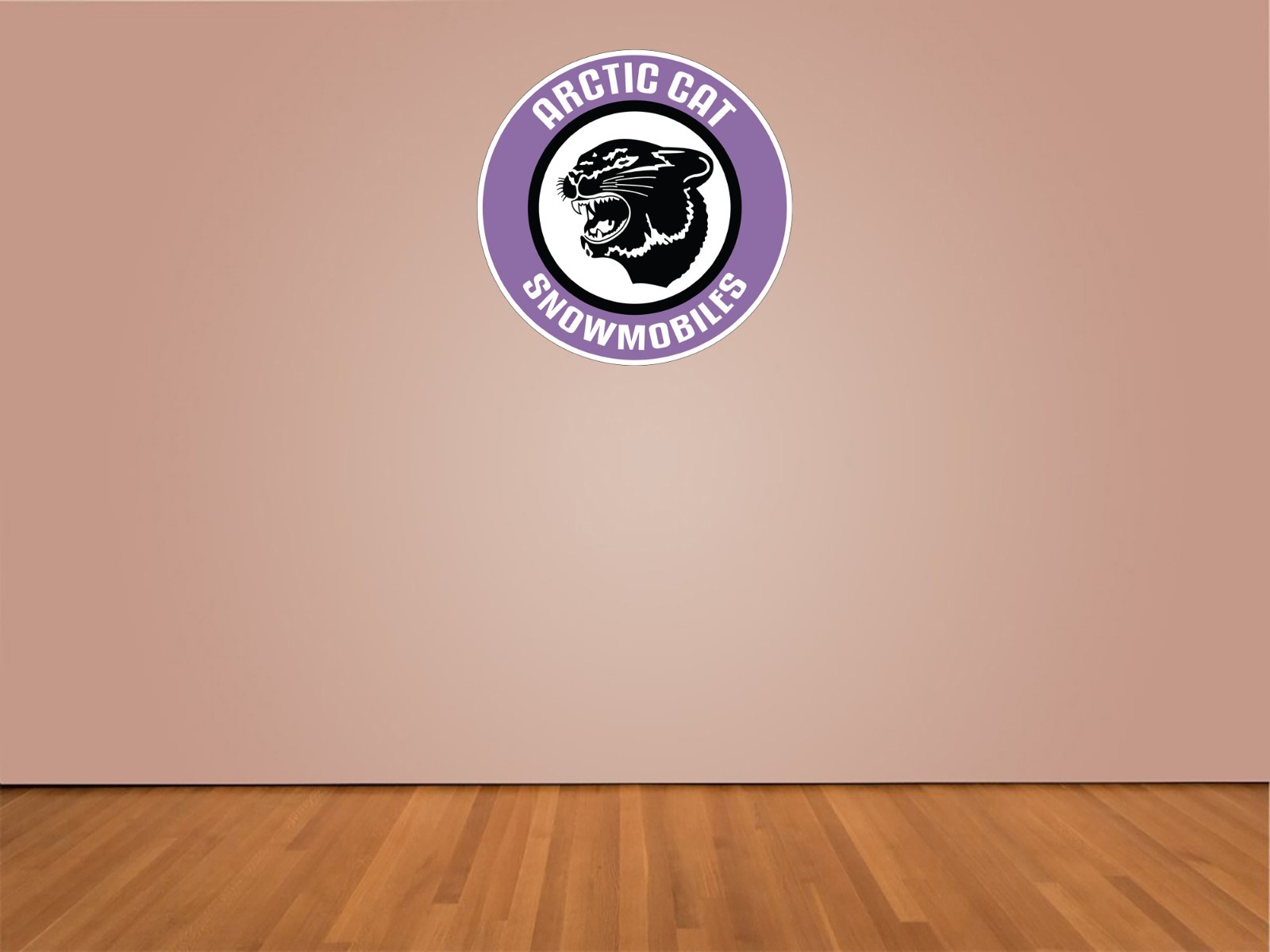 Arctic Cat Snowmobiles Vintage Logo Indoor Wall Vinyl Decal Sticker 5 – 52"