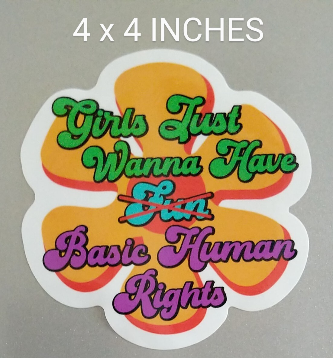 4" Girls Just Wanna Have Basic Human Rights Decal Vinyl Sticker Roe v Wade Retro