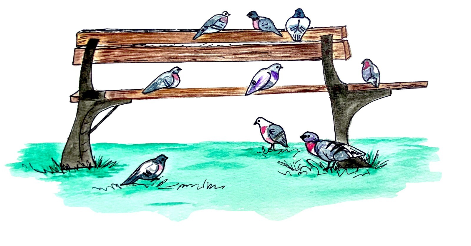 Park Bench with Birds Decal Sticker for Car/Truck Windows Phones