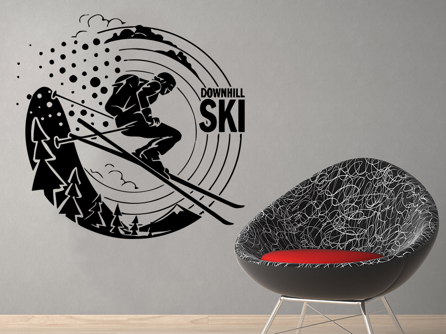 Wall Decal Ski Sport Vinyl Sticker Home Decor Bedroom Design Interior NS536