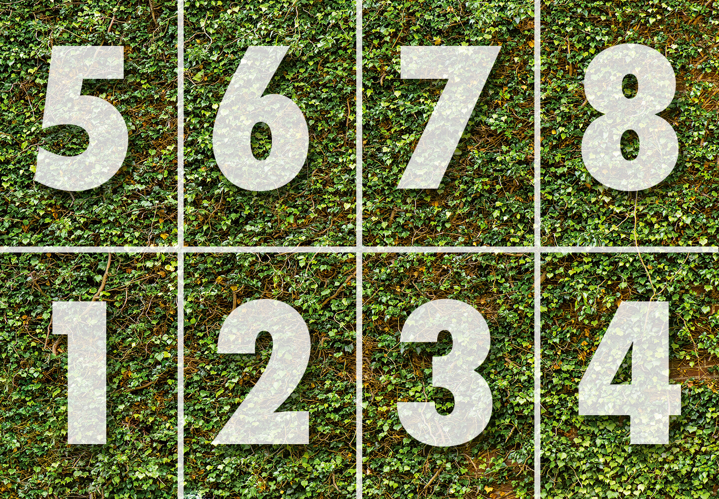 Climbing IVY Wallpaper 144"x100" Removable Wall Mural Plant Green Grass Backdrop