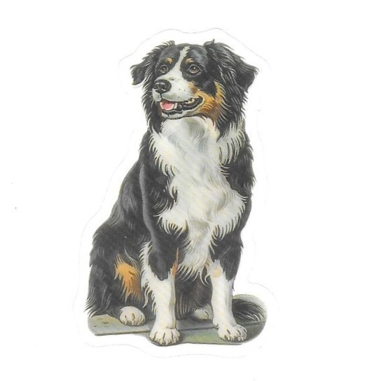 Victorian Border Collie Sticker Transparent Vinyl Dog Antique Style Ephemera