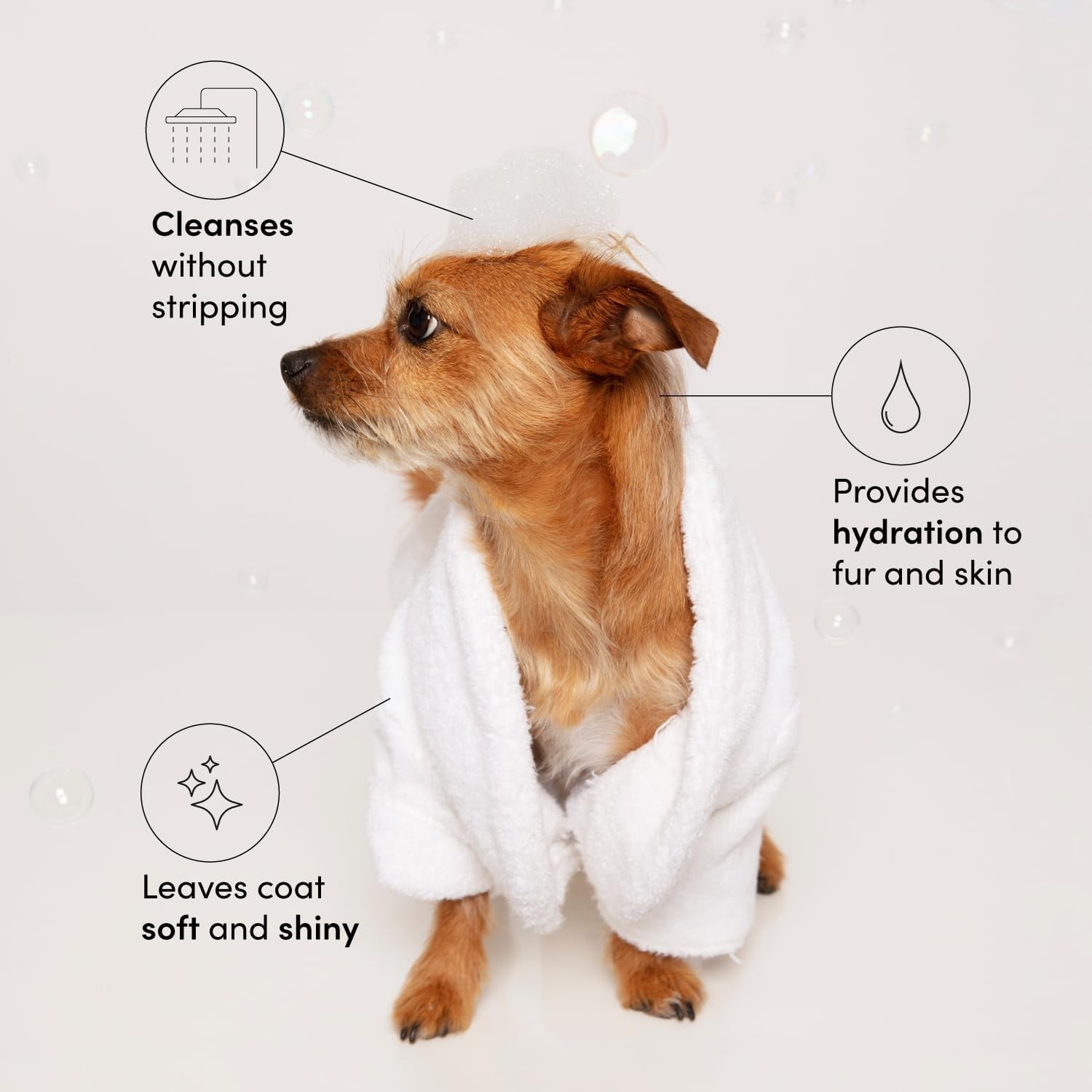 OUAI Fur Bébé Pet Shampoo – Cat & Dog for Gentle 16 Fl Oz (Pack of 1)
