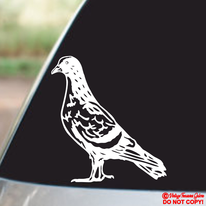 PIGEON ROCK-DOVE DOMESTIC BIRD Vinyl Decal Sticker Car Truck Window Wall Bumper