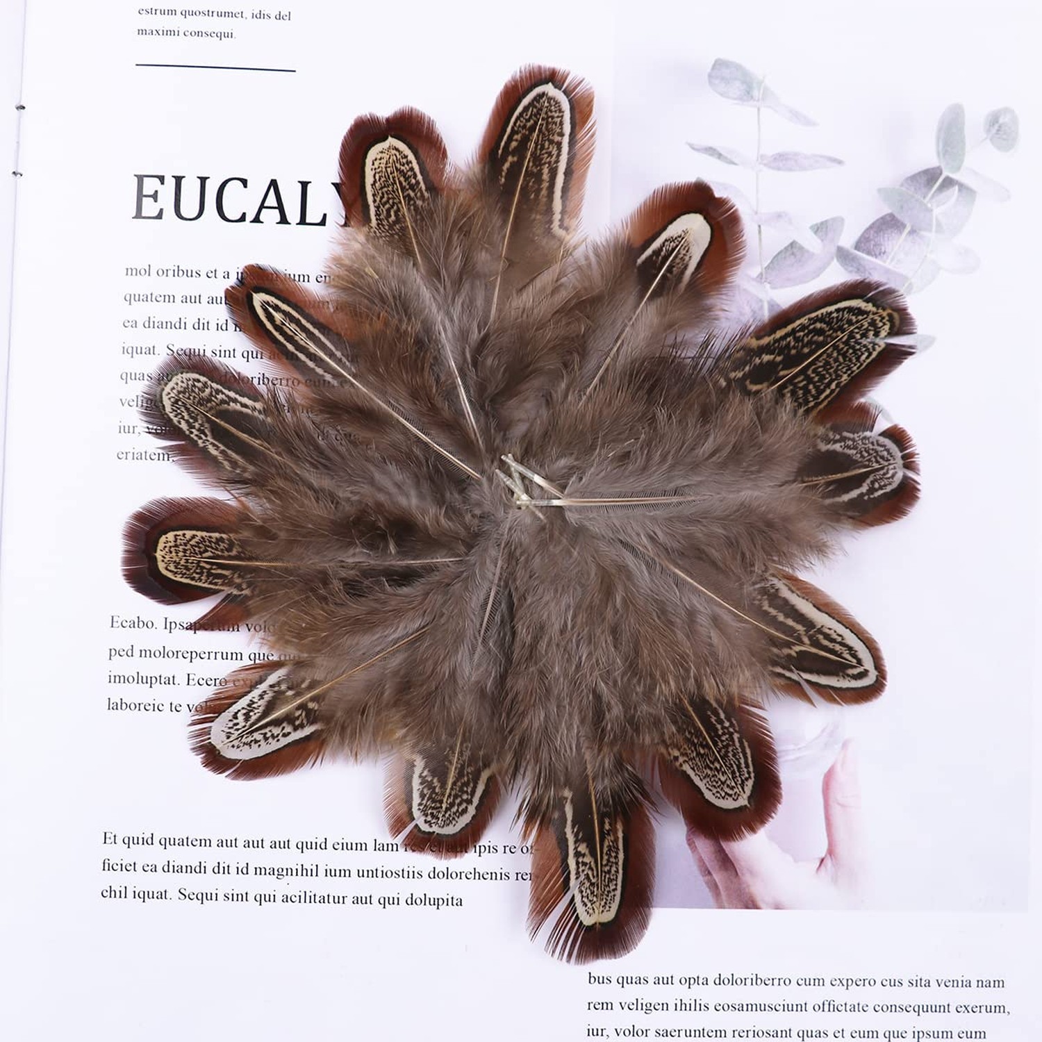 50 Pcs Natural Pheasant Feathers 2-3 Inches Plumage for Crafts Clothing Sewin…