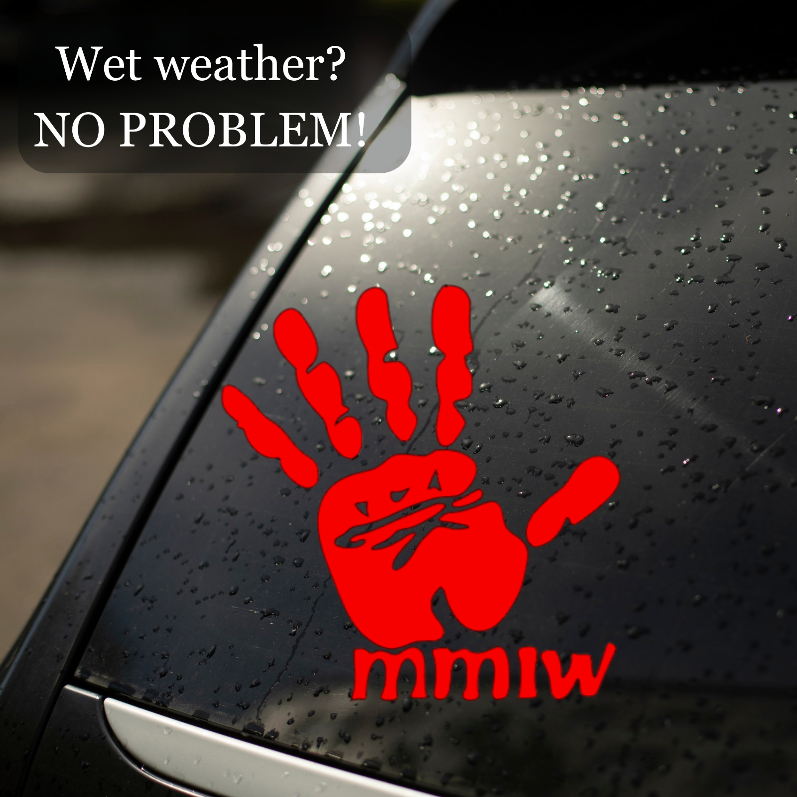 MMIW Decal for car | Missing and Murdered Indigenous Women | MMIW Awareness