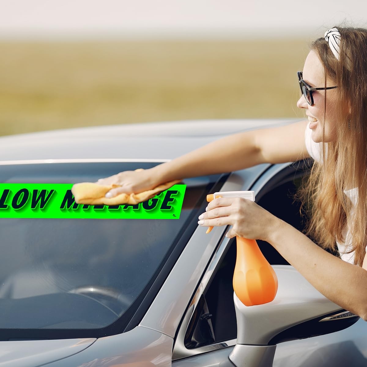 Chartreuse Green Vinyl Slogan Stickers 12Pack for Car Dealer Windshield Adve…