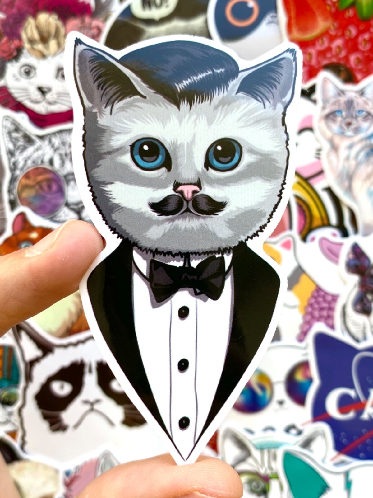5-50 pcs Cat Meme Stickers, Cat Lover Gifts, Cute Funny Sad Fat Cat Vinyl Decals
