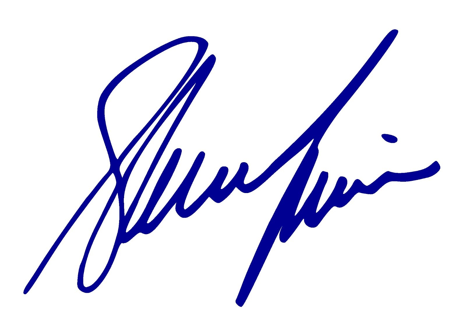 Shania Twain Autograph Signature Vinyl Decal, USA seller