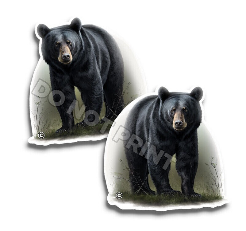 BEAR Vinyl Stickers BLACK NATURE Great Outdoors ANIMAL DECALS C35002 2 Pack