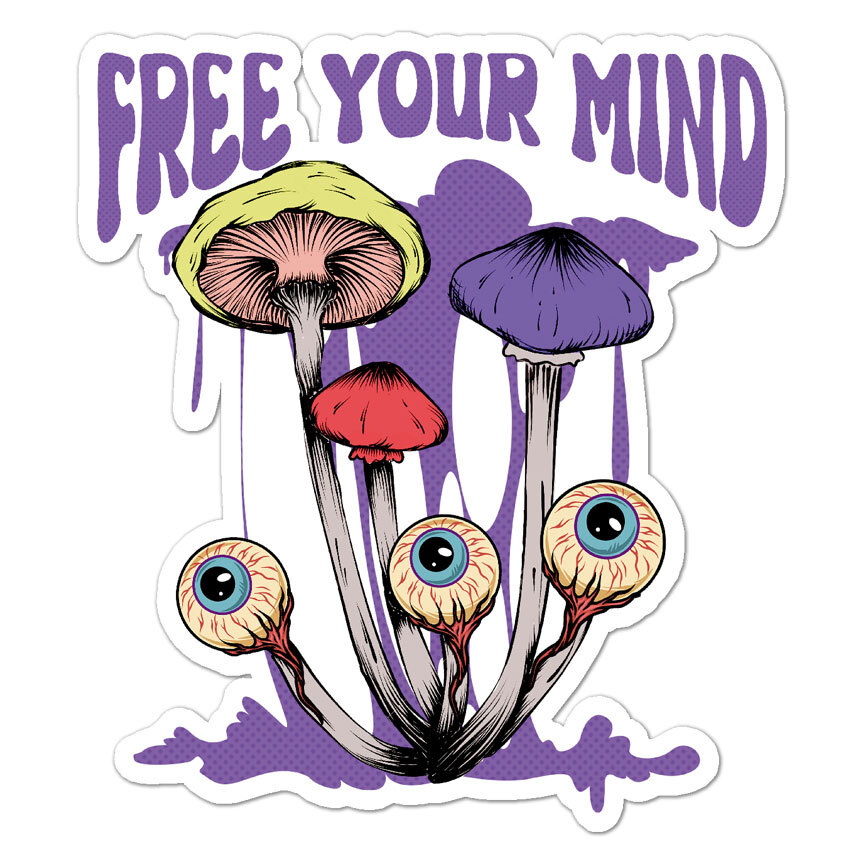 Free Your Mind, Vinyl Decal Sticker, Indoor Outdoor, 3 Sizes, #8734