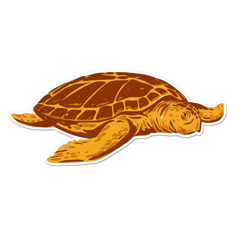 Orange Sea Turtle