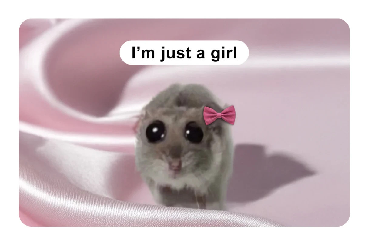 I'm Just a Girl Card Skin 4 Pack Hamster Meme Funny Viral Pink Coquette Aestheti