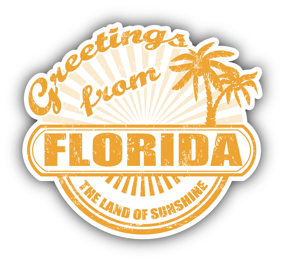 Florida USA State Grunge Vinyl Sticker Car Bumper Decal