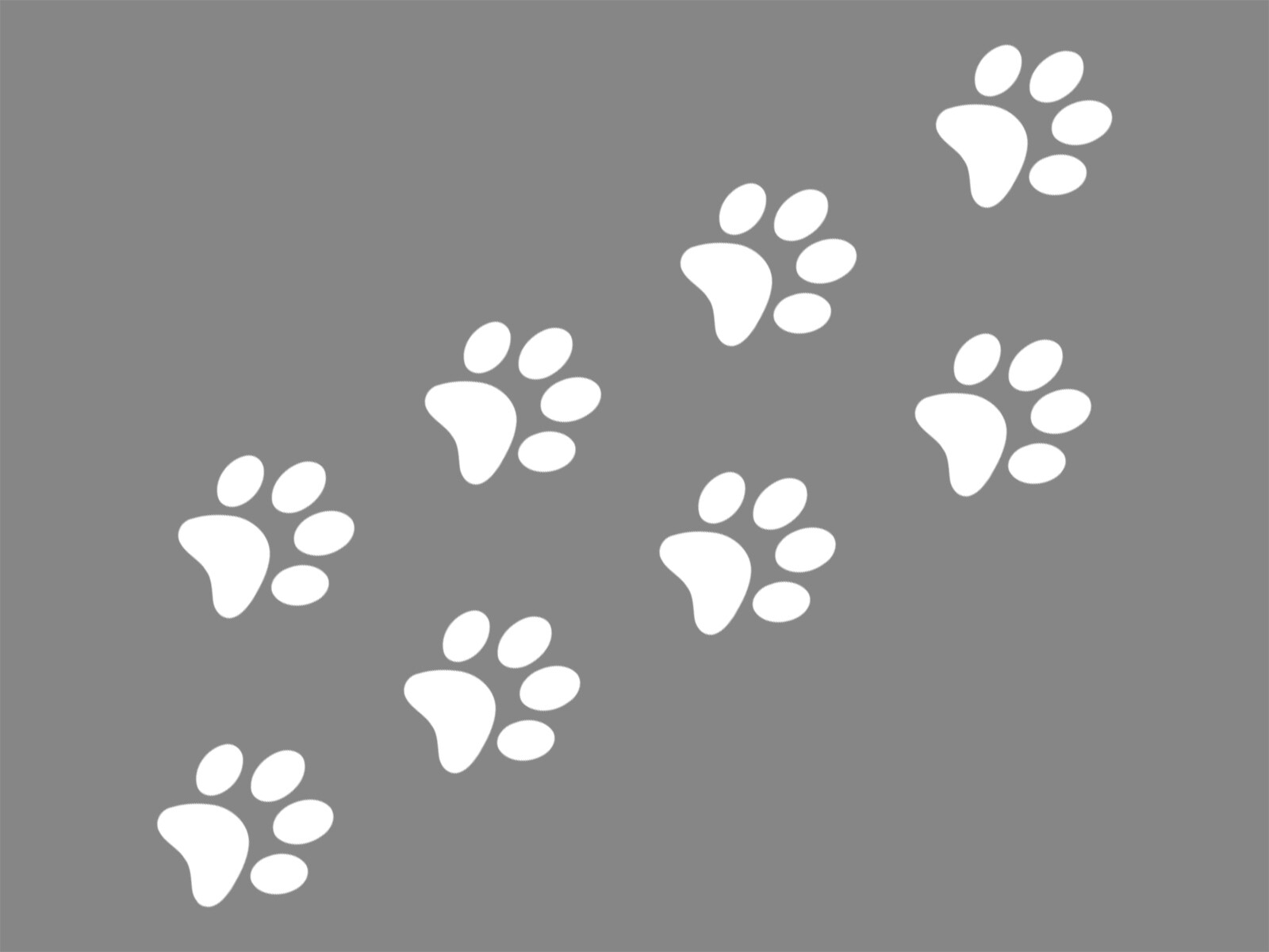 DOG PAWS 8 PCS PACK Puppy Animal Print Vinyl Decal Waterproof Car Sticker Cat