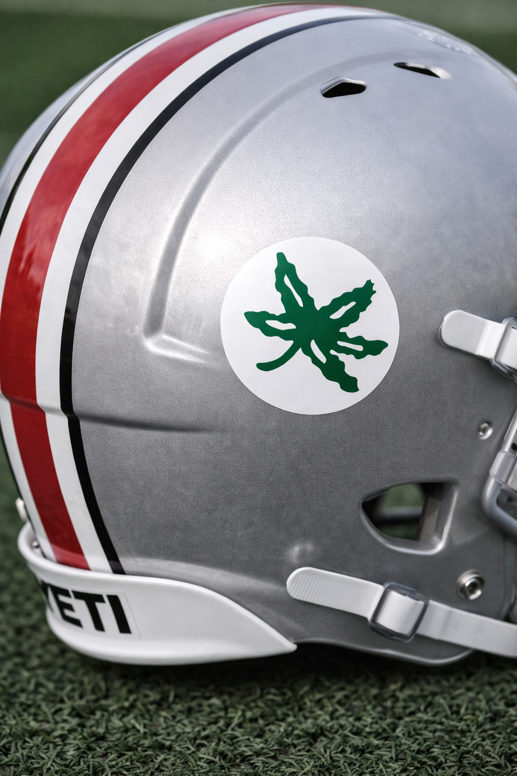 Ohio Buckeye State Leaf Round Laminated Vinyl Sticker/Decal