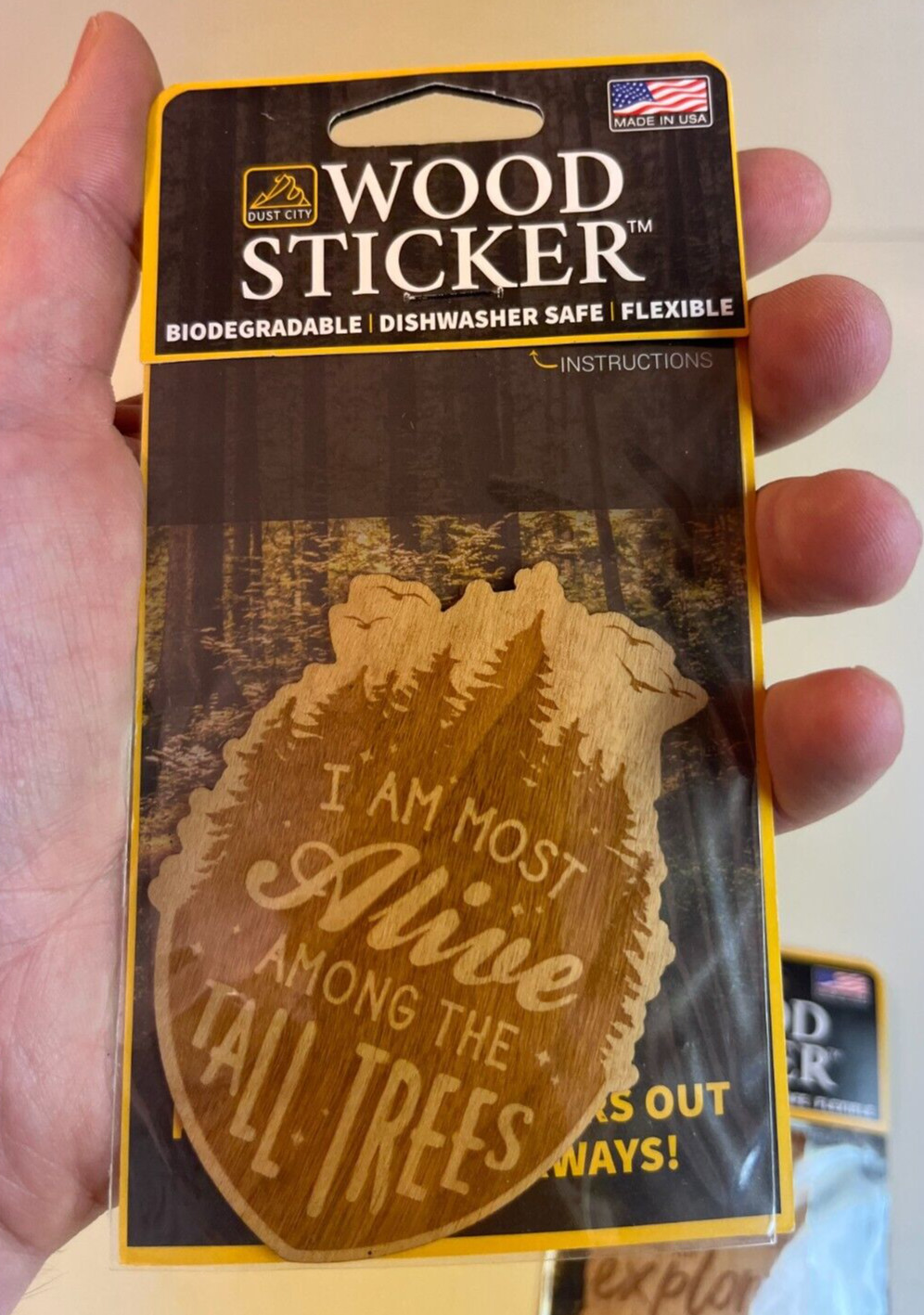 Dust City Wood 3 Stickers Lot Back to School, Nature, Bear, Trees, Explorer
