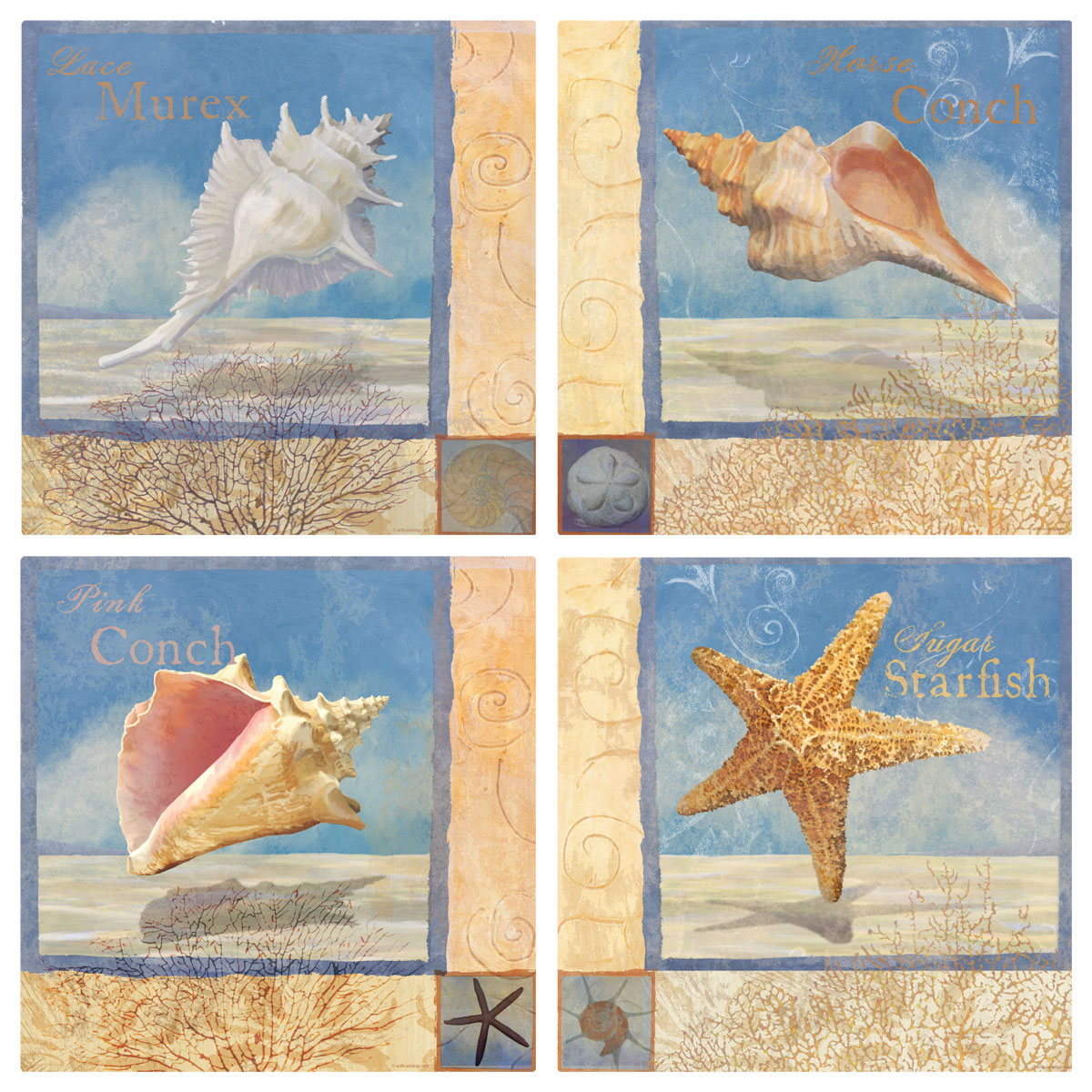 Seashells By The Seashore Wall Decal Set Vintage Style Home Decor Bundle