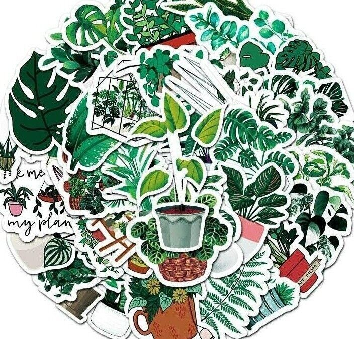 Plant VINYL Stickers [C] Potted HOUSEPLANTS House Succulent ~ Waterproof Decals