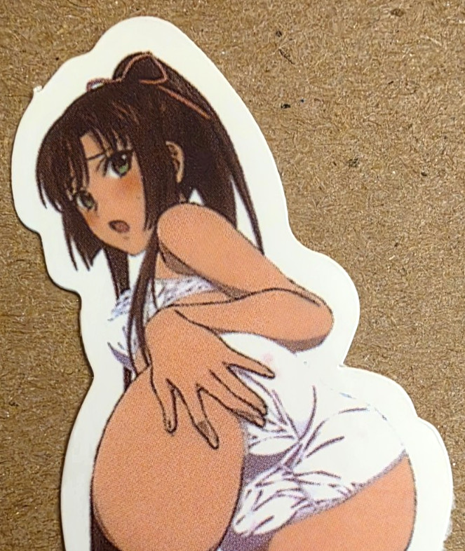 Waifu Sticker Girl Princess Maid Music Idol Lingerie Bed Bikini NSFW Anime Manga