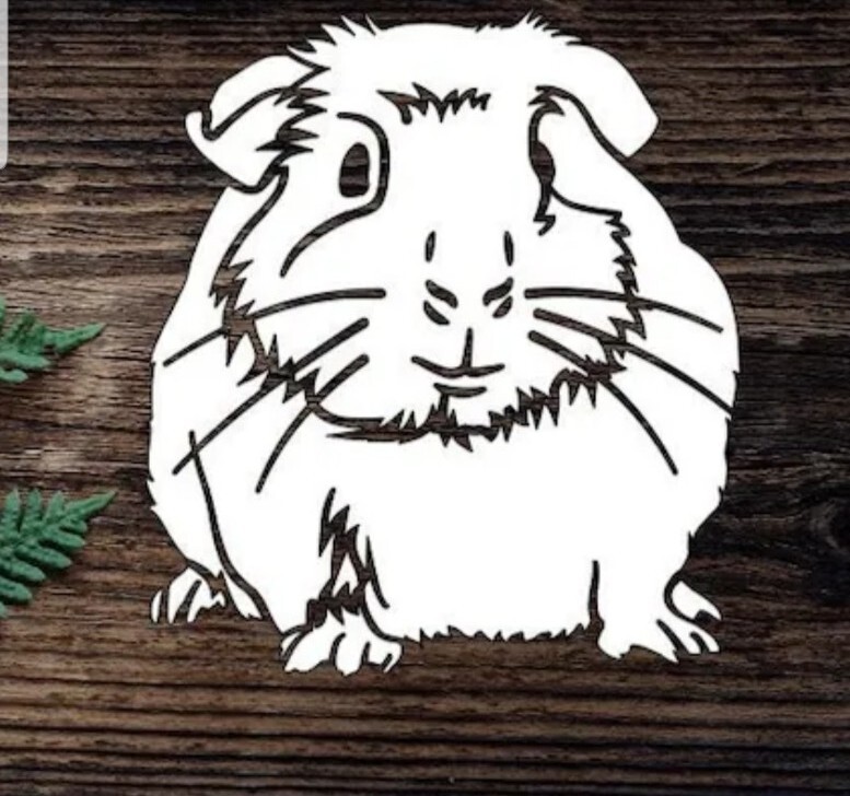 GUINEA PIG Vinyl Decal for SUV Car Truck Jeep Bumper Wall Window Bumper laptop