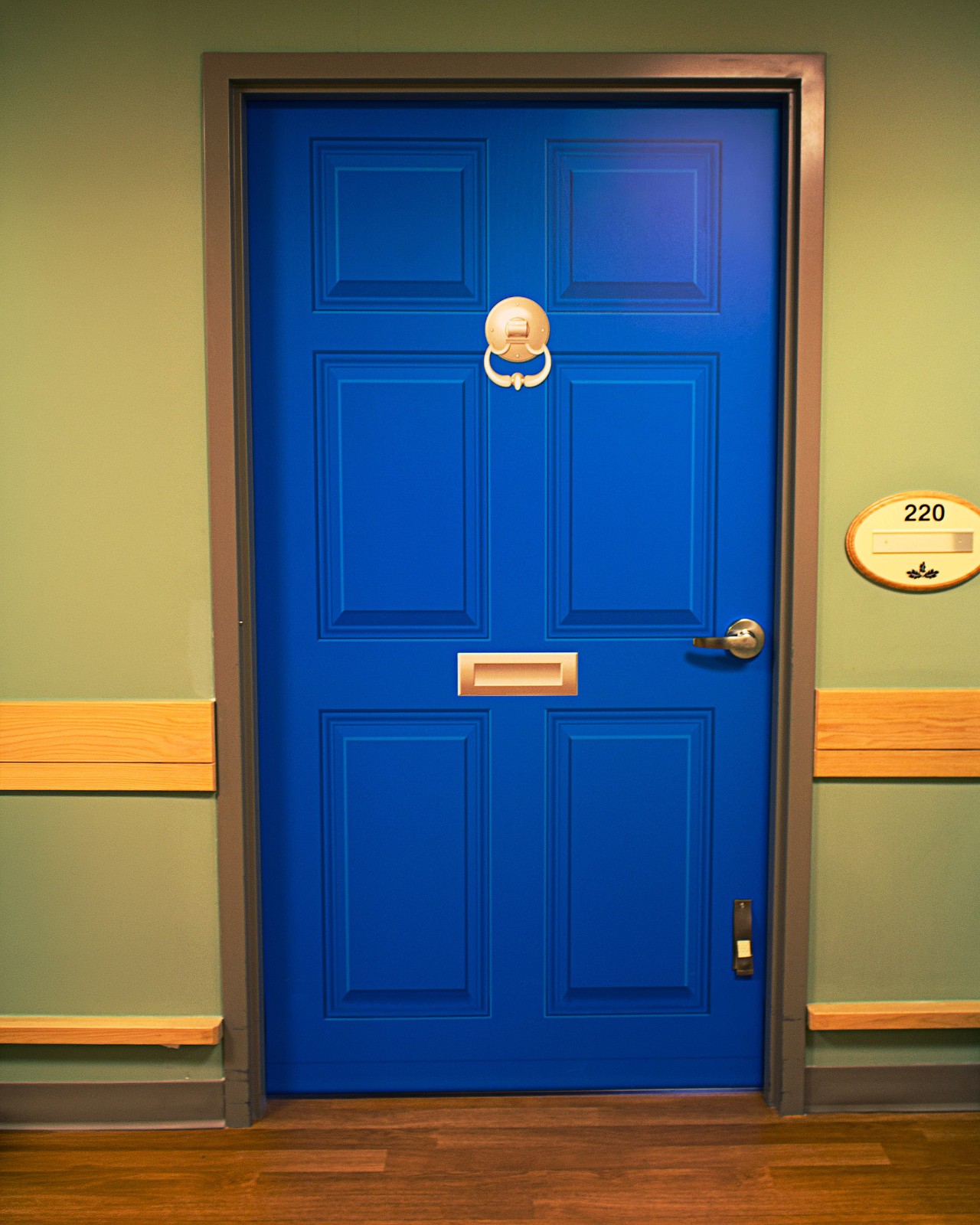Dementia Friendly Door Mural | Custom Size & Color | Seamless 1-Piece Wrap