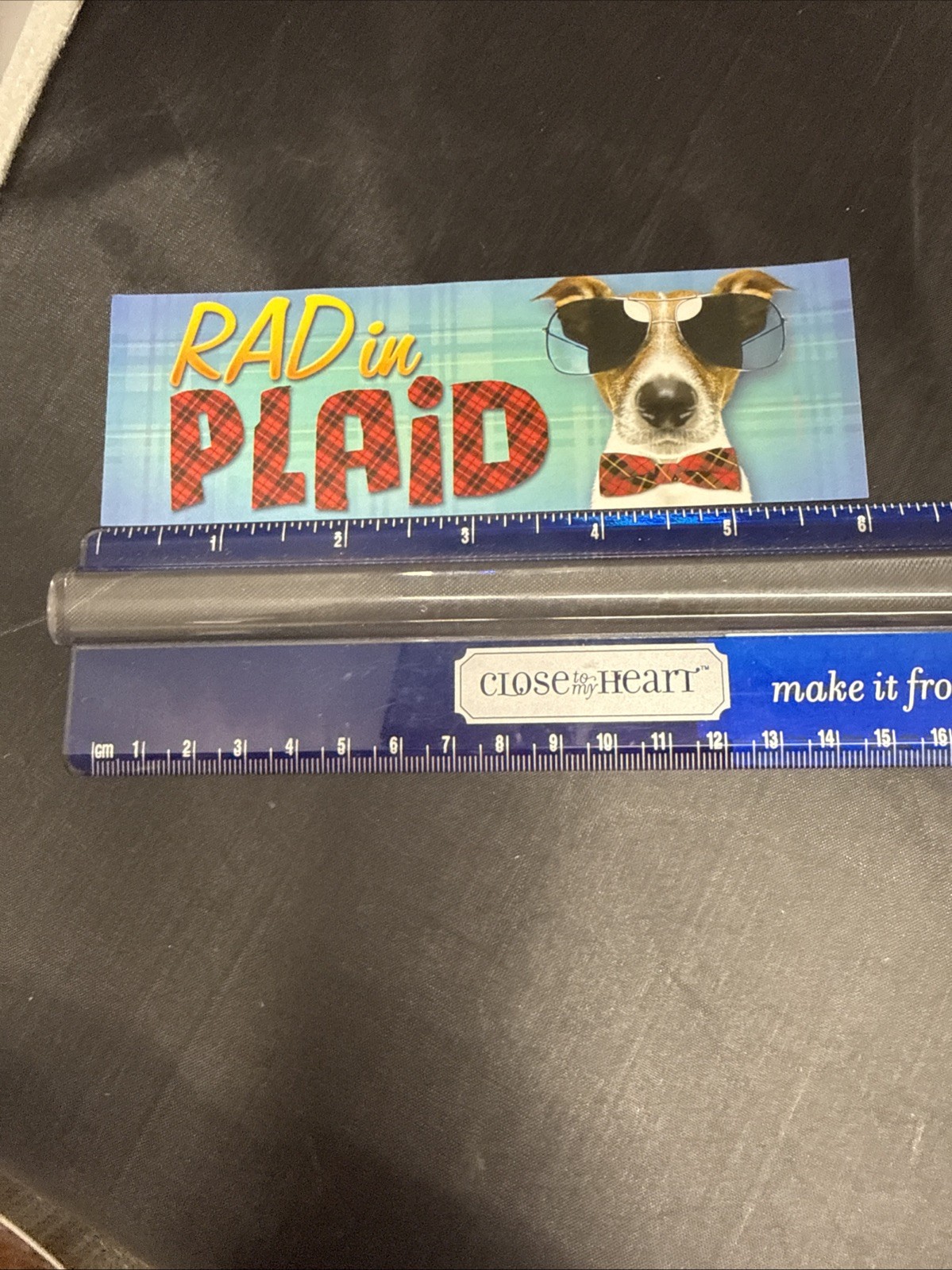 2000s Y2K Scholastic Book Fair Deep Ink Sticker Bookmark Rad In Plaid